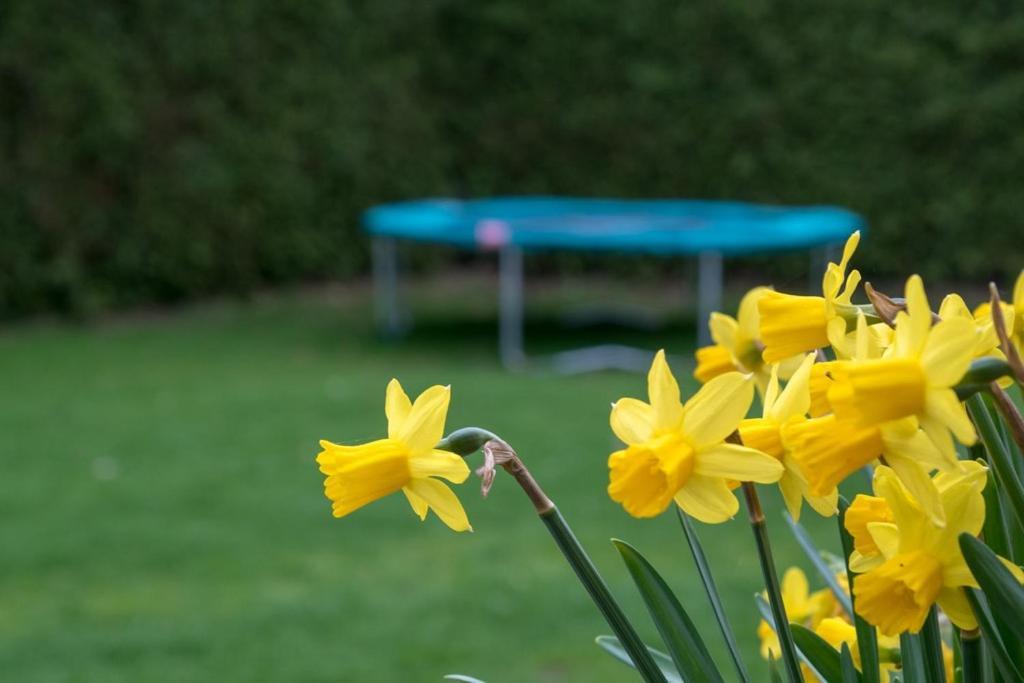 Groepsaccommodatie Kom In De Bedstee Sprookje Winterswijk Esterno foto