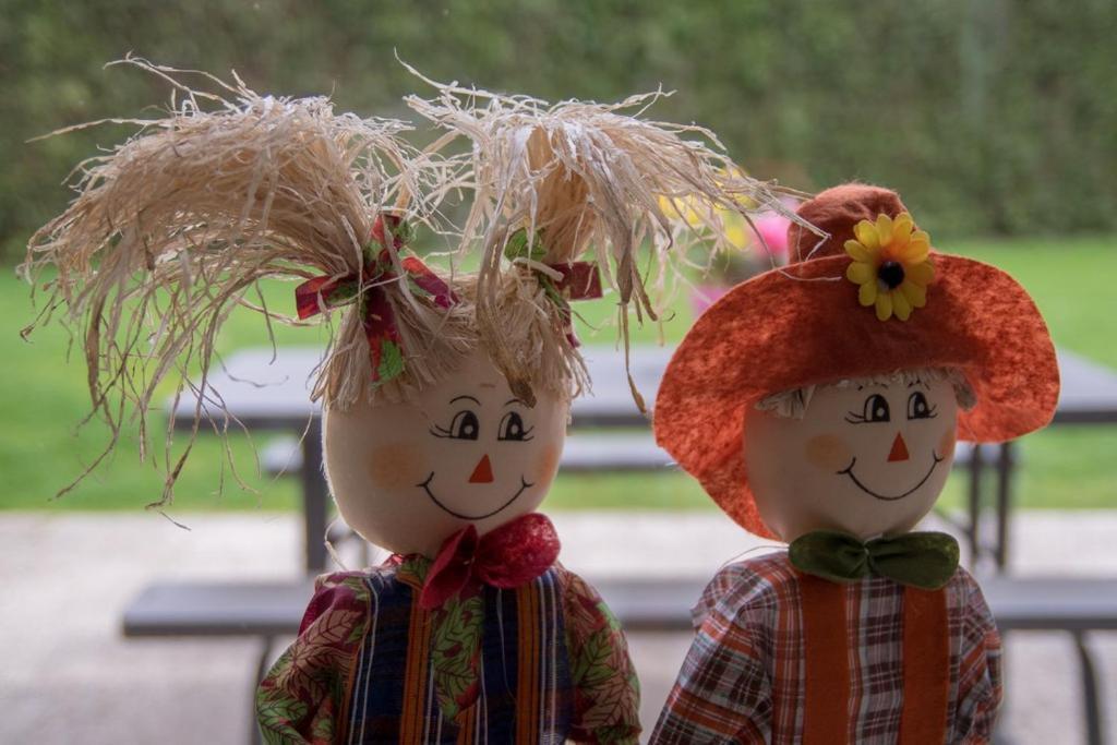 Groepsaccommodatie Kom In De Bedstee Sprookje Winterswijk Esterno foto